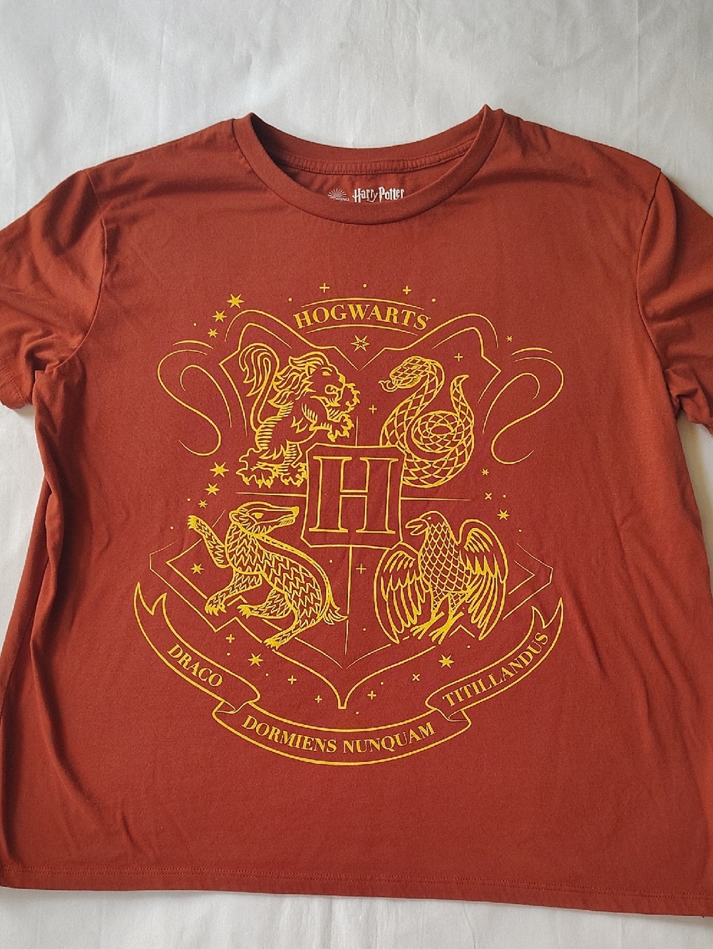 Harry Potter Kids' Hogwarts Crest Short Sleeve Tee - Rust Color Large 14-16